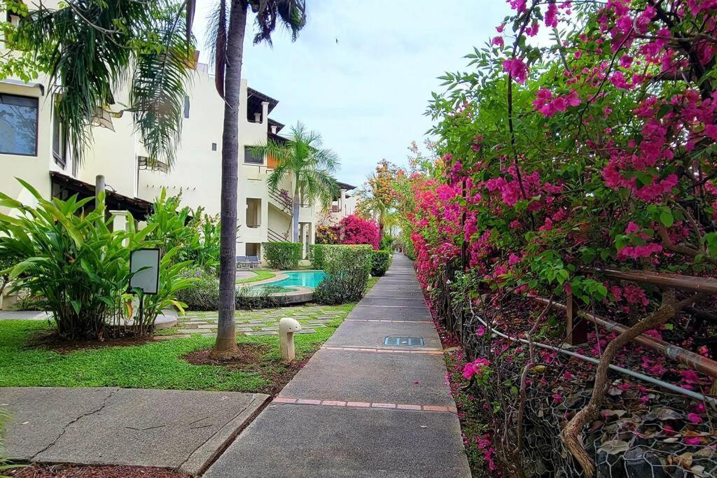 קוקו Amazing Oceanview Rooftop Terrace Walk To Beach מראה חיצוני תמונה